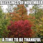 november | BLESSINGS OF NOVEMBER; A TIME TO BE THANKFUL | image tagged in november | made w/ Imgflip meme maker