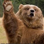 Bear Has A Question  | IS THERE A BASEBALL GAME ON TONIGHT? | image tagged in bear has a question | made w/ Imgflip meme maker