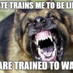 Cry 'Havoc' and let slip the dogs of war! | THE STATE TRAINS ME TO BE LIKE THIS; YOU ARE TRAINED TO WATCH | image tagged in cry 'havoc' and let slip the dogs of war | made w/ Imgflip meme maker