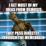 Deep thought Groot (I82QB4IP gave me this idea. Thx) | I GET MOST OF MY IDEAS FROM OSMOSIS; THEY PASS DIRECTLY THROUGH THE MEMEBRAIN | image tagged in bad pun groot,memes,bad pun,guardians of the galaxy,groot,ideas | made w/ Imgflip meme maker