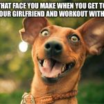 Happy dog | THAT FACE YOU MAKE WHEN YOU GET TO SEE YOUR GIRLFRIEND AND WORKOUT WITH HER!! | image tagged in happy dog | made w/ Imgflip meme maker
