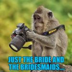Monkey weddings need photographers as well... | JUST THE BRIDE AND THE BRIDESMAIDS.... | image tagged in photographer monkey,memes,photography,weddings,animals,monkeys | made w/ Imgflip meme maker