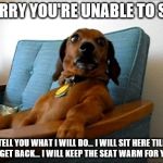 Dachshund sitting | SORRY YOU'RE UNABLE TO SIT. TELL YOU WHAT I WILL DO... I WILL SIT HERE TILL YOU GET BACK... I WILL KEEP THE SEAT WARM FOR YOU.... | image tagged in dachshund sitting | made w/ Imgflip meme maker