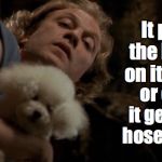 Buffalo Bill - It puts the lotion on it's skin, or else it gets  | It puts the lotion on its skin, or else it gets the hose again. | image tagged in buffalo bill - it puts the lotion on it's skin or else it gets  | made w/ Imgflip meme maker