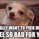 Seriously Dog | YOU REALLY WANT TO PICK HILLARY? I FEEL SO BAD FOR YOU. | image tagged in seriously dog | made w/ Imgflip meme maker