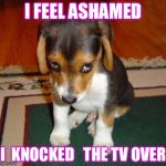 ashamed puppy | I FEEL ASHAMED; I  KNOCKED   THE TV OVER | image tagged in ashamed puppy | made w/ Imgflip meme maker