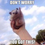 Motivational Hedgehog is Motivational | DON'T WORRY; YOU GOT THIS! | image tagged in motivational hedgehog is motivational | made w/ Imgflip meme maker