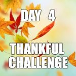 Leaves | DAY   4; THANKFUL CHALLENGE | image tagged in leaves | made w/ Imgflip meme maker