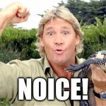 Whenever I see something awesome. | NOICE! | image tagged in steve irwin,crocodile hunter,rip,noice,funny,australia | made w/ Imgflip meme maker