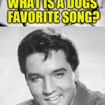 Bad Pun Elvis (A Hokeewolf Template)  | WHAT IS A DOGS FAVORITE SONG? YOU AIN'T NOTHIN BUT A HOUND DOG! THANK YOU - THANK YOU VERY MUCH | image tagged in elvis presley,jokes,puns,memes,laughs,hokeewolf | made w/ Imgflip meme maker