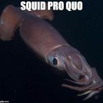 Squid pro quo | SQUID PRO QUO | image tagged in humboldt squid 2 | made w/ Imgflip meme maker