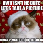 Grumpy Santa Cat | AW!! ISN'T HE CUTE LET'S TAKE A PICTURE; 1. KILL HUMAN 2. MAKE IT LOOK LIKE AN ACCIDENT | image tagged in grumpy santa cat | made w/ Imgflip meme maker