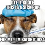 Sick Pup | GET IT RIGHT, THIS IS A SICK PUP. AS FOR ME? I'M BATSHIT INSANE! | image tagged in sick pup | made w/ Imgflip meme maker