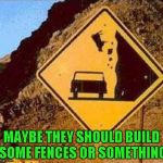 Save the cows!!! | MAYBE THEY SHOULD BUILD SOME FENCES OR SOMETHING | image tagged in falling cows,memes,funny signs,signs,funny | made w/ Imgflip meme maker