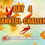 Leaves | DAY   4; THANKFUL  CHALLENGE; #apositiveperspective | image tagged in leaves | made w/ Imgflip meme maker