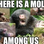 Moles | THERE IS A MOLE; AMONG US | image tagged in mole | made w/ Imgflip meme maker