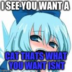 i see whta you did there anime meme | I SEE YOU WANT A; CAT THATS WHAT YOU WANT ISNT | image tagged in i see whta you did there anime meme | made w/ Imgflip meme maker