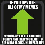 Upvote | IF YOU UPVOTE ALL OF MY MEMES; EVENTUALLY I'LL HIT 1,000,000 POINTS AND THEN YOU'LL GET TO SEE WHAT I LOOK LIKE IN REAL LIFE | image tagged in upvote | made w/ Imgflip meme maker