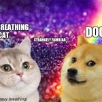 This is one my old memes. | DOGE; HEAVY BREATHING CAT; STRANGELY FAMILIAR...... | image tagged in heavy breath cat doge | made w/ Imgflip meme maker