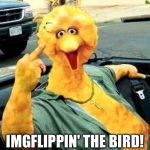 The Bird | IMGFLIPPIN' THE BIRD! | image tagged in big bird,memes,imgflip | made w/ Imgflip meme maker