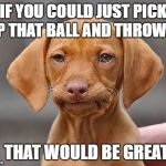 Disappointed Puppy | IF YOU COULD JUST PICK UP THAT BALL AND THROW IT; THAT WOULD BE GREAT | image tagged in disappointed puppy | made w/ Imgflip meme maker