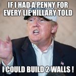 Donald Trump Can't Answer | IF I HAD A PENNY FOR EVERY LIE HILLARY TOLD; I COULD BUILD 2 WALLS ! | image tagged in donald trump can't answer | made w/ Imgflip meme maker