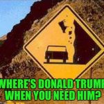 Walls save lives | WHERE'S DONALD TRUMP WHEN YOU NEED HIM? | image tagged in falling cows,memes | made w/ Imgflip meme maker