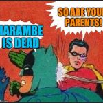 Robin slaps | SO ARE YOUR PARENTS! HARAMBE IS DEAD | image tagged in robin slaps | made w/ Imgflip meme maker