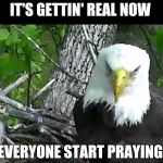 Respect fellow citizens, it's why we're free and what keeps us that way | IT'S GETTIN' REAL NOW; EVERYONE START PRAYING | image tagged in eagle doc | made w/ Imgflip meme maker
