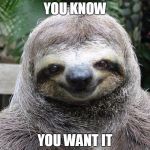 Rape Sloth  | YOU KNOW; YOU WANT IT | image tagged in rape sloth | made w/ Imgflip meme maker