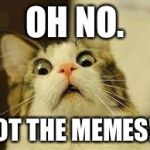 shocked | OH NO. NOT THE MEMES!!! | image tagged in shocked | made w/ Imgflip meme maker