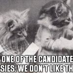 Cats Voting | WE HEARD ONE OF THE CANDIDATES GRABS PUSSIES. WE DON'T LIKE THAT. | image tagged in cats voting | made w/ Imgflip meme maker