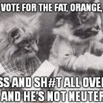 Cats Voting | PLEASE DON'T VOTE FOR THE FAT, ORANGE, GRUMPY CAT. HE'LL P#SS AND SH#T ALL OVER THE PLACE AND HE'S NOT NEUTERED | image tagged in cats voting | made w/ Imgflip meme maker