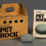 Pet rock