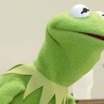 Did you know kermit