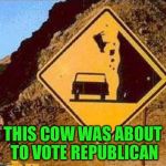 Another Hillary Victim | THIS COW WAS ABOUT TO VOTE REPUBLICAN | image tagged in falling cows,memes | made w/ Imgflip meme maker
