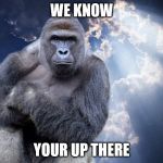 Harambe | WE KNOW; YOUR UP THERE | image tagged in harambe | made w/ Imgflip meme maker