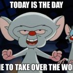 Pinky and the Brain | TODAY IS THE DAY; TIME TO TAKE OVER THE WORLD | image tagged in pinky and the brain | made w/ Imgflip meme maker