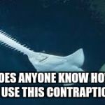 Shark | DOES ANYONE KNOW HOW TO USE THIS CONTRAPTION? | image tagged in shark | made w/ Imgflip meme maker