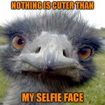 Selfie | NOTHING IS CUTER THAN; MY SELFIE FACE | image tagged in selfie | made w/ Imgflip meme maker