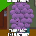 member berries  | MEMBER WHEN; TRUMP LOST THE ELECTION? | image tagged in member berries | made w/ Imgflip meme maker