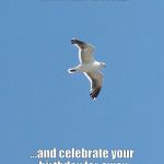 Seagull | May you soar above the world... ...and celebrate your birthday far away from the stresses of life | image tagged in seagull | made w/ Imgflip meme maker