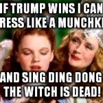 wizard of oz | IF TRUMP WINS I CAN DRESS LIKE A MUNCHKIN; AND SING DING DONG THE WITCH IS DEAD! | image tagged in wizard of oz | made w/ Imgflip meme maker