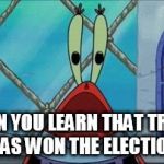 Mr. Krabs Scream | WHEN YOU LEARN THAT TRUMP HAS WON THE ELECTION | image tagged in mr krabs scream | made w/ Imgflip meme maker