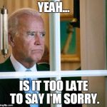 Sad Joe Biden | YEAH... IS IT TOO LATE TO SAY I'M SORRY. | image tagged in sad joe biden | made w/ Imgflip meme maker