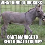 Donkey | WHAT KIND OF JACKASS... CAN'T MANAGE TO BEAT DONALD TRUMP? | image tagged in donkey | made w/ Imgflip meme maker