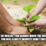 Election Results | DON'T BE MISLED--YOU CANNOT MOCK THE JUSTICE OF GOD. YOU WILL ALWAYS HARVEST WHAT YOU PLANT. | image tagged in planting,election 2016,donald trump | made w/ Imgflip meme maker