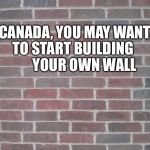 The Wall | CANADA, YOU MAY WANT; TO START BUILDING       
YOUR OWN WALL | image tagged in the wall | made w/ Imgflip meme maker