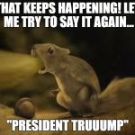 President Trump | THAT KEEPS HAPPENING! LET ME TRY TO SAY IT AGAIN... "PRESIDENT TRUUUMP" | image tagged in squirrel,cute,trump 2016 | made w/ Imgflip meme maker