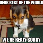 Sorry Dog | DEAR REST OF THE WORLD; WE'RE REALY SORRY | image tagged in sorry,trump 2016 | made w/ Imgflip meme maker